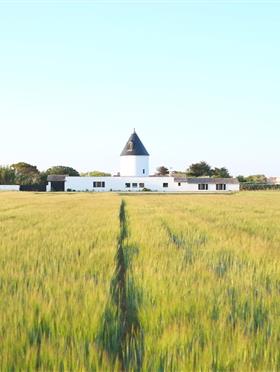 Le Moulin Senechal Ars en Re - Hotel le Senechal