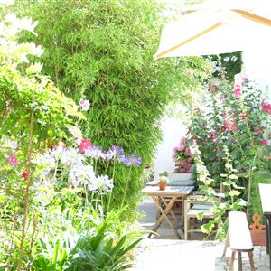 Green terrace - Hotel Le Senechal Ile de Ré