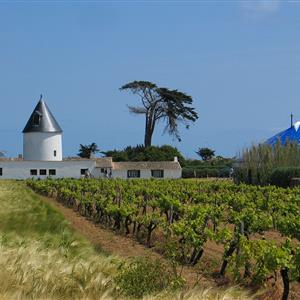 Wedding hotel Sénéchal Ile de Ré (17)
