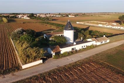 Windmill of Sénéchal Ars en Ré