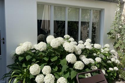 rental house garden hotel le senechal ile de re